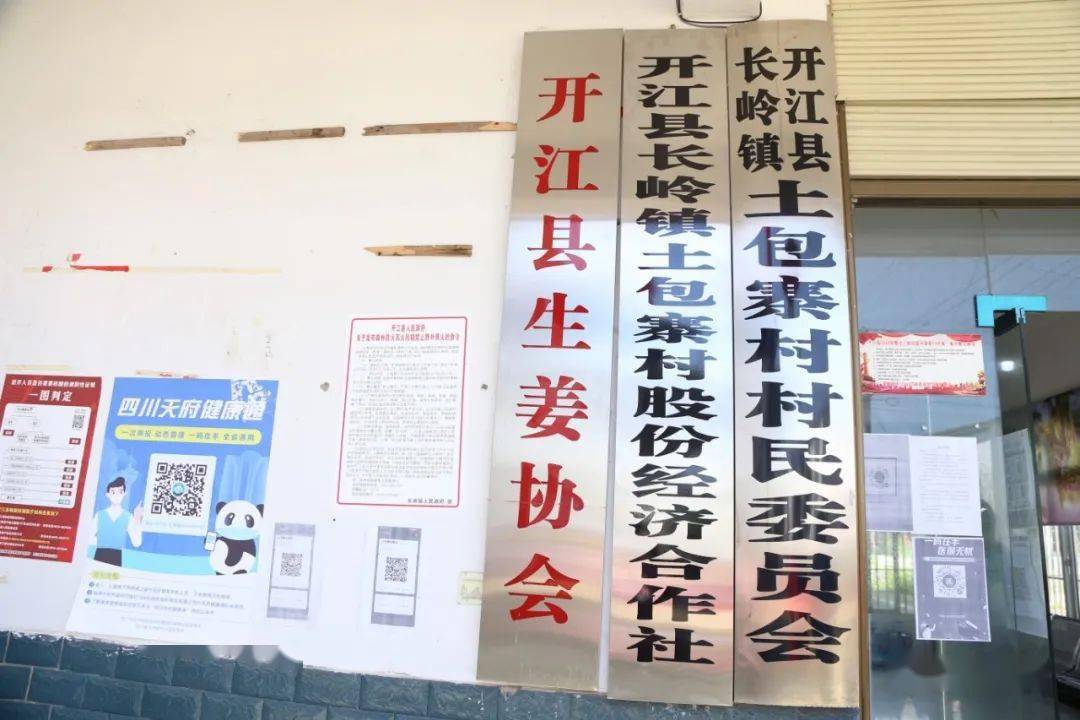 武陟县卫生健康局发展规划，构建健康武陟，提高民生福祉水平