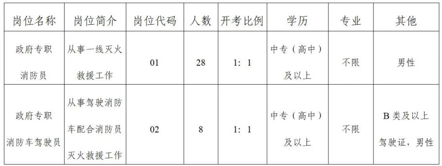 张湾区应急管理局最新招聘公告概览