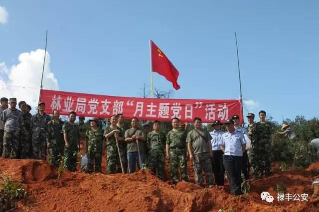 禄丰县住房和城乡建设局领导团队全新亮相，工作展望与期待