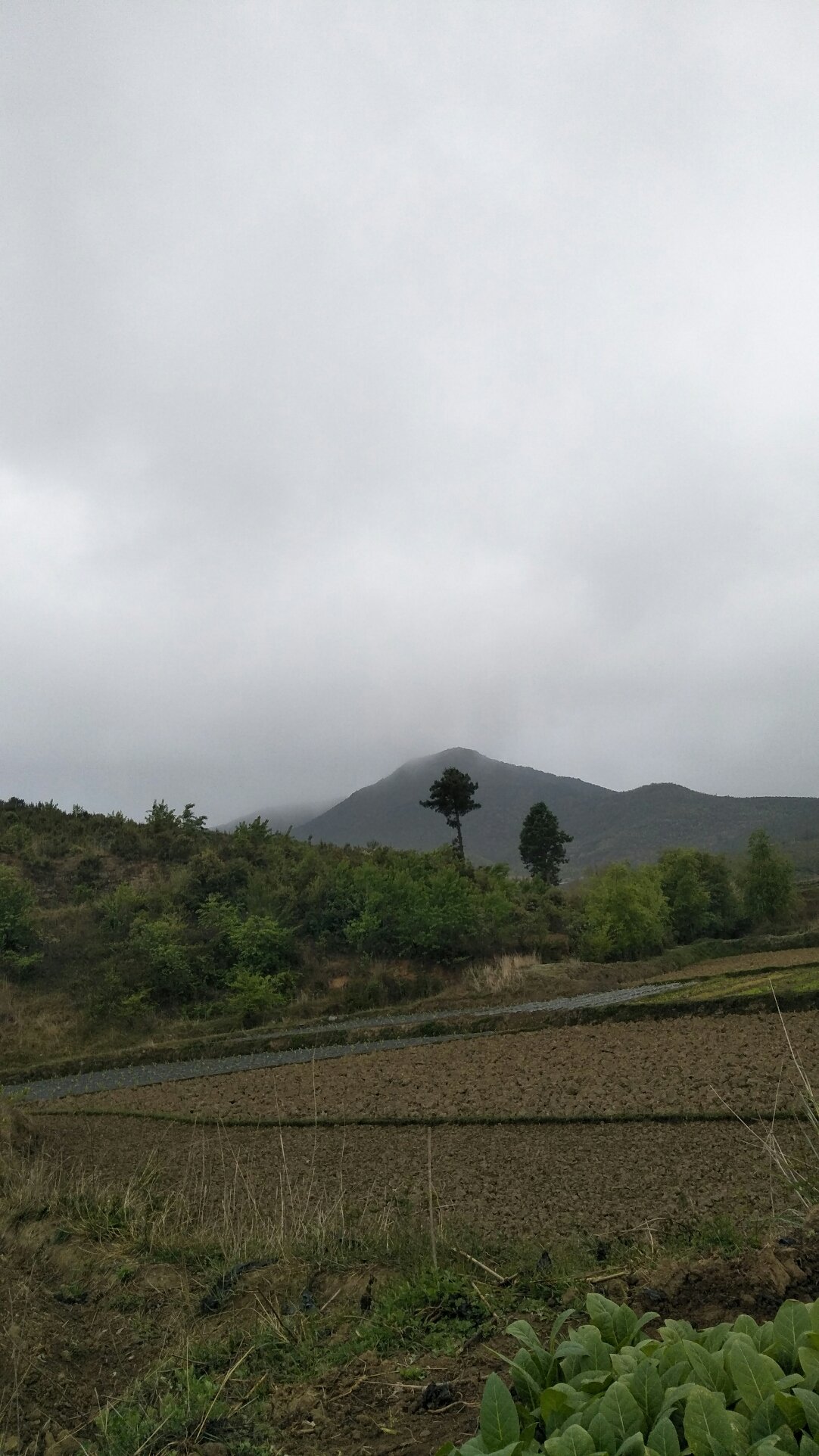 峡城乡天气预报更新通知