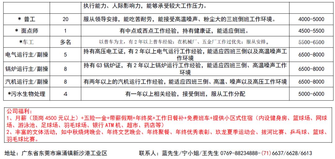 里辛镇最新招聘信息详解，招聘概述与深度解读