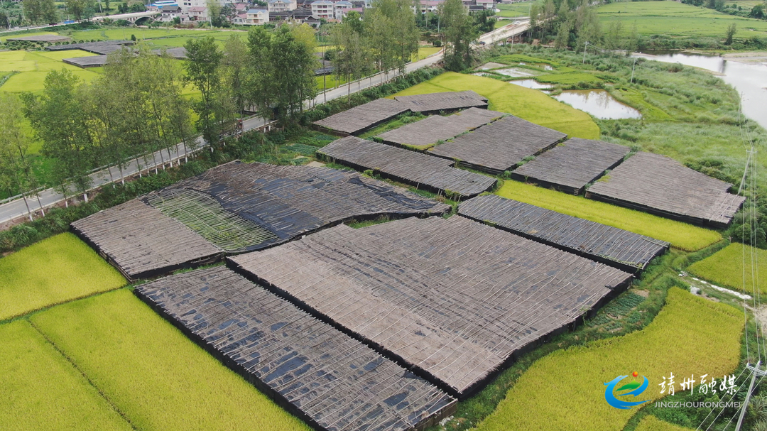 业务领域 第9页