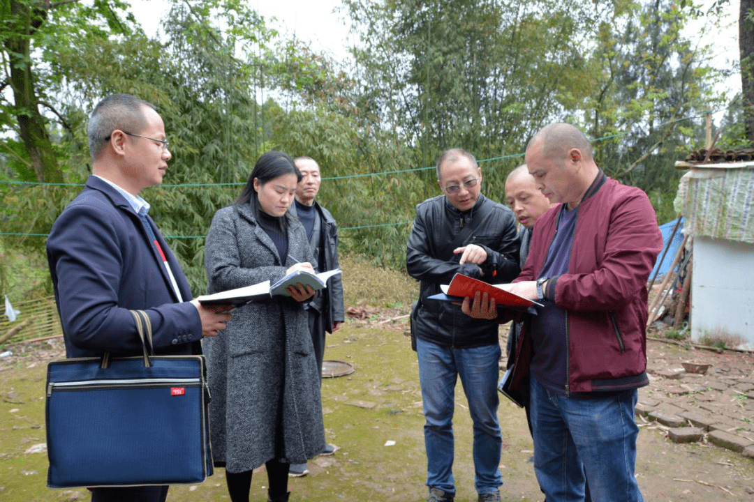 营山县自然资源和规划局最新动态报道