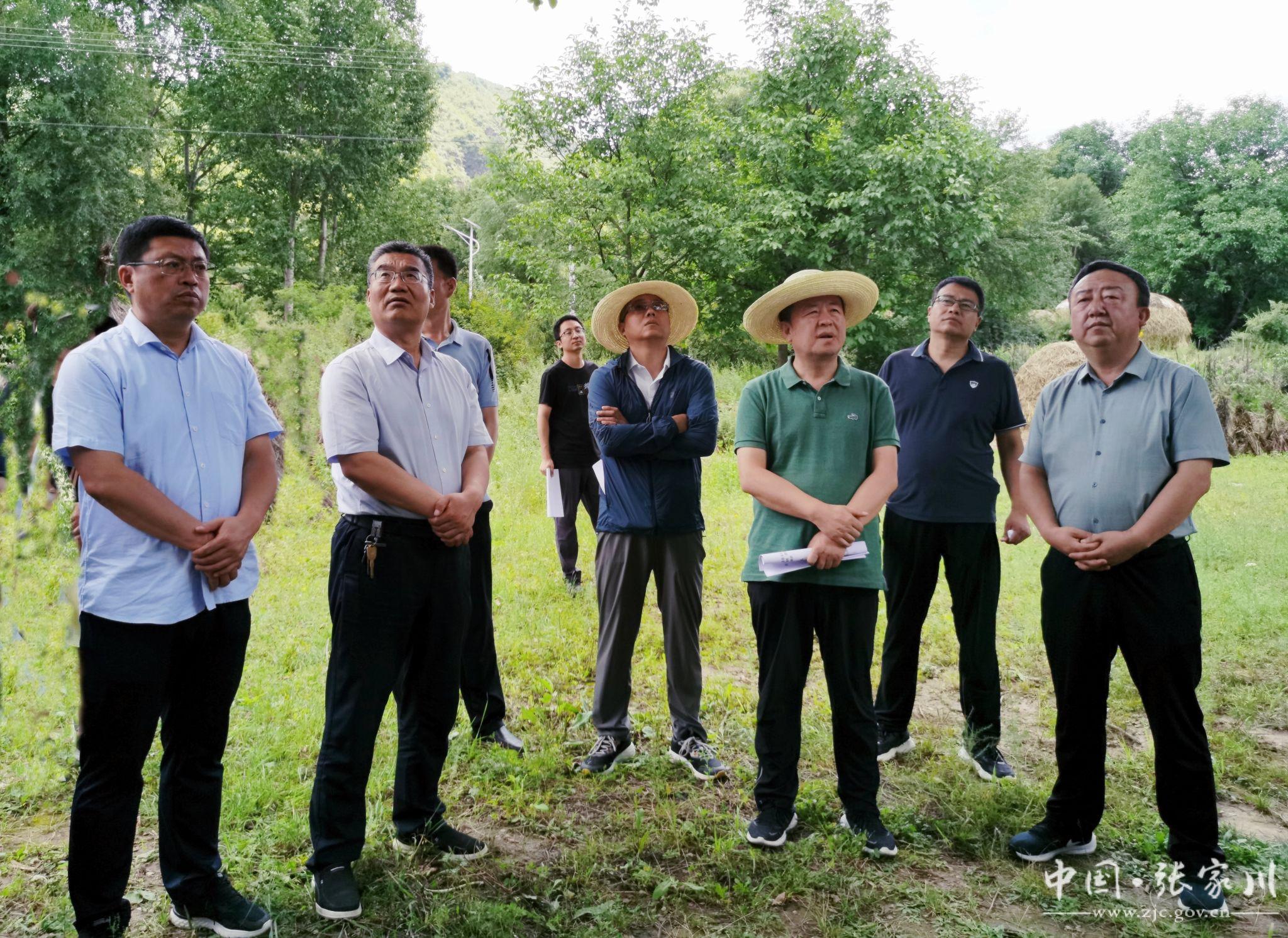 康王村民委员会交通新闻更新