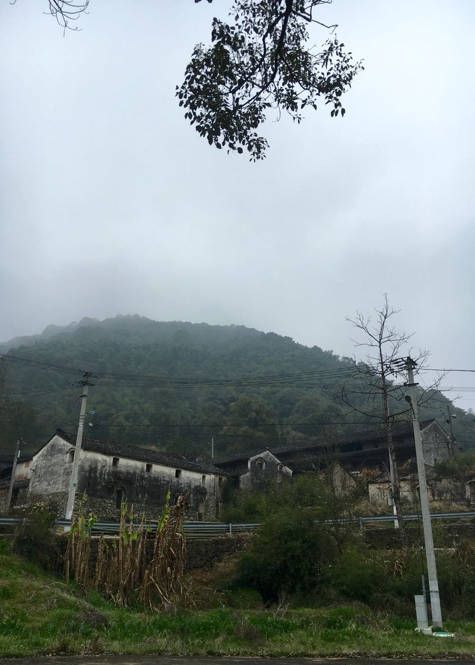 碁山镇天气预报更新通知