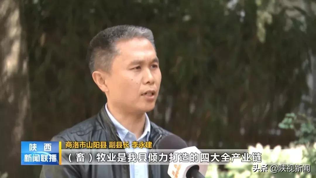 山阳区级托养福利事业单位招聘启事概览