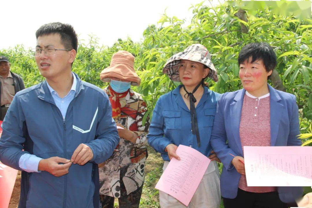 兰山区防疫检疫站最新动态报道