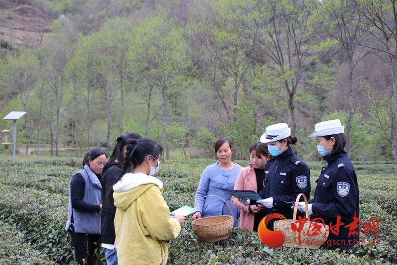 康县公路运输管理事业单位领导变革与展望，新任领导团队引领未来发展