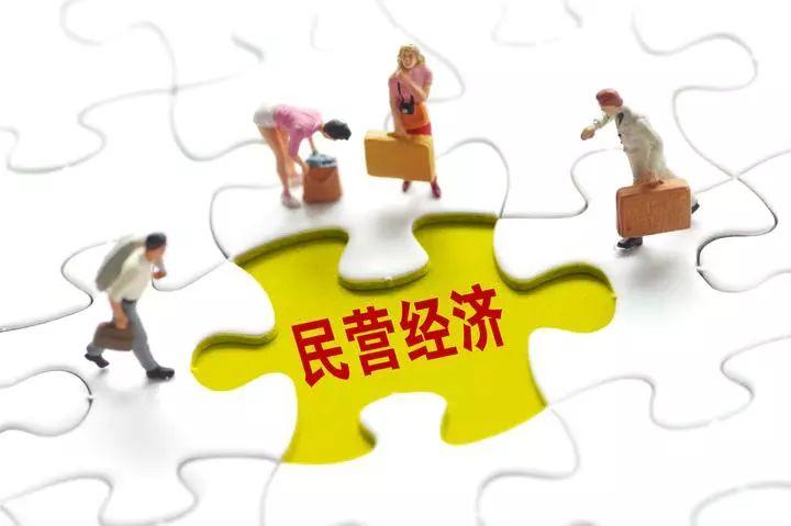 枞阳县数据和政务服务局最新动态报道