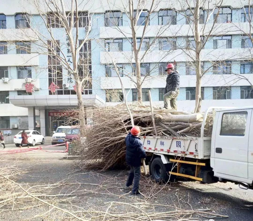 黑河市园林管理局新项目重塑城市绿色生态景观