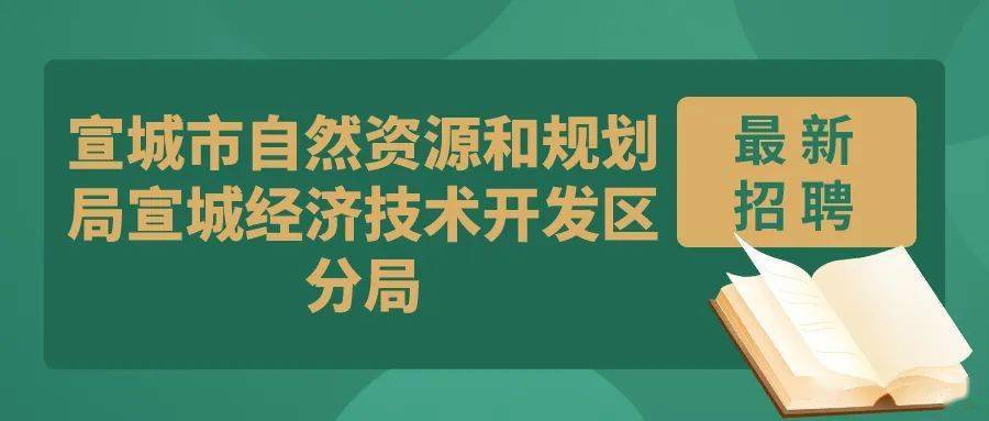 正阳县自然资源和规划局招聘公告详解