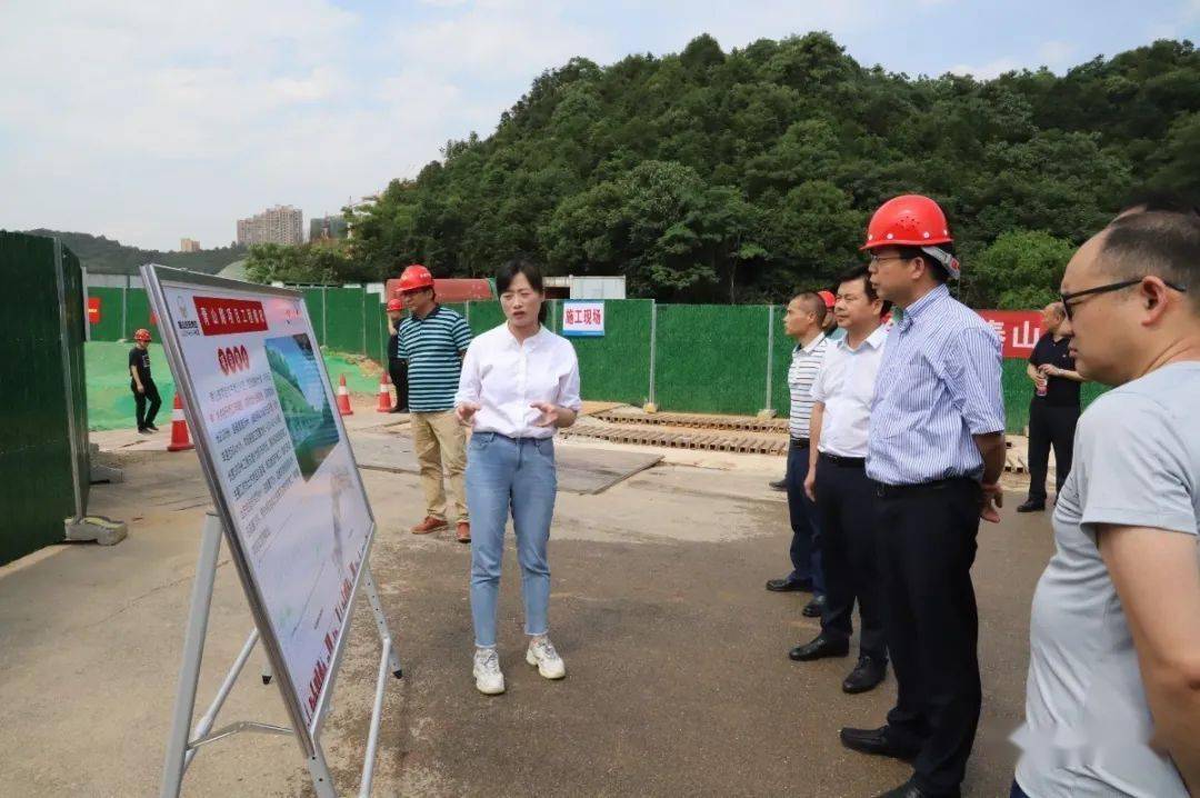 望岳街道未来发展规划揭秘，塑造城市新面貌的蓝图