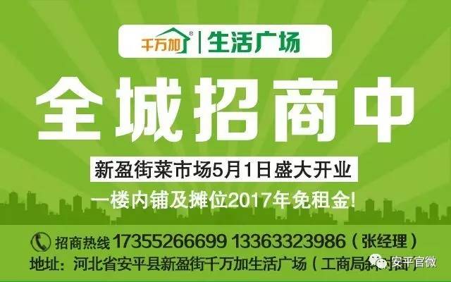 盐池县人力资源和社会保障局招聘最新信息全面解析