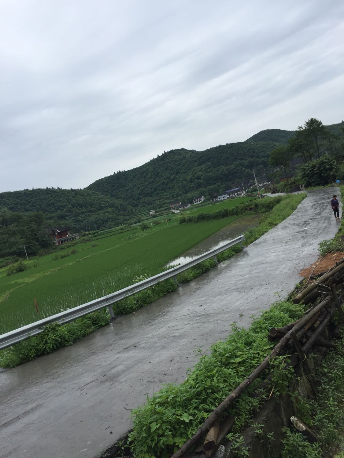 承坪乡天气预报更新通知