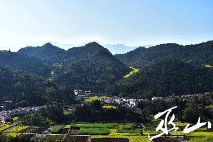 寺坝村新项目启动，乡村振兴新动力澎湃来袭