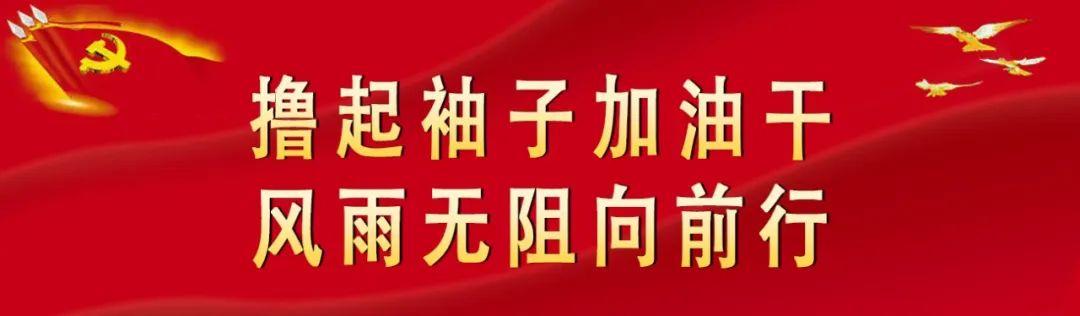 新乐市财政局发展规划，稳健财政助力城市繁荣新篇章